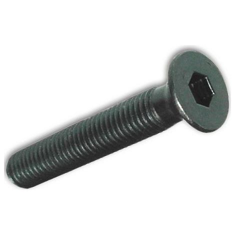 Viti per Metallo TP Esagono Incassato Acciao Brunito 8x25 mm conf. 200 pz