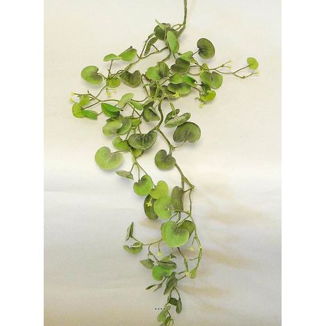 Chute de feuillage artificiel Dichondra L 120 cm Originale