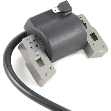 Bobine d'allumage pour moteur Briggs & Stratton 298316 (1/3)