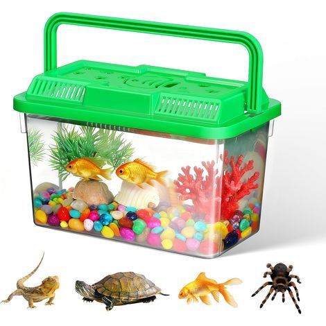 1 Aquarium Portable, Transparent Vert, Poignée Plastique ABS, Transport Poissons Tortues Hamsters (1/5)