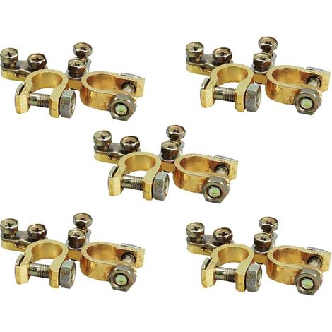 S-giant Jeu de pinces pour bornes de batterie, négatives et positives(5 x Lot de 2 Plus/Moins,) (1/2)