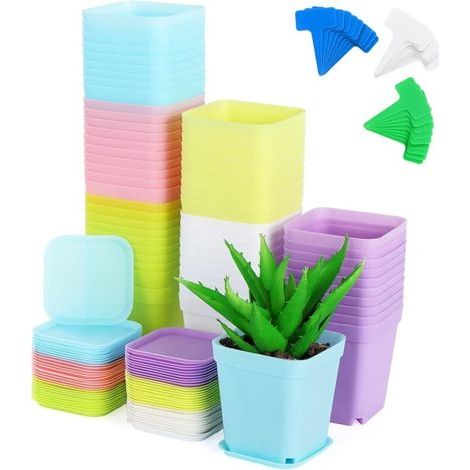 60 pots carrés en plastique pour semis, pots d'intérieur avec plateaux et étiquettes pour plantes succulentes, queue de tigre, aloe vera (différentes couleurs) (1/5)