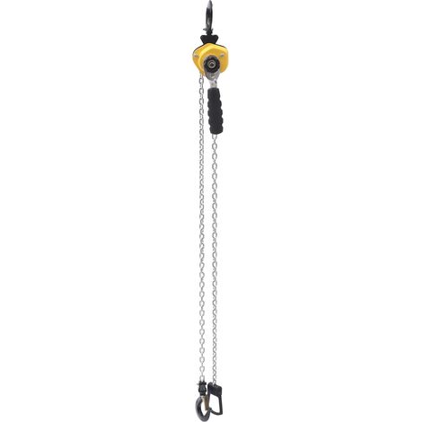 Mini Palan à Levier Manuel 250 kg, Palan à Chaîne à Cliquet Manutention, avec Chaîne en Acier Allié G80 3 m, Crochet Rotatif à 360°, pour Marchandises Garage Quai Usine