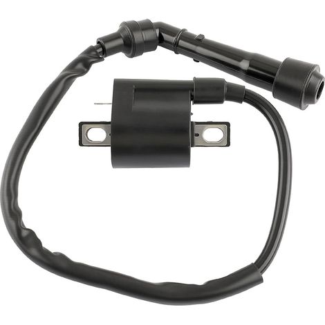 Bobine d'alltoage – Pofromrr All-Terrain Vehicthe (ATV) Suaki LTZ400 – Réf. 33410-09F00 (1/5)