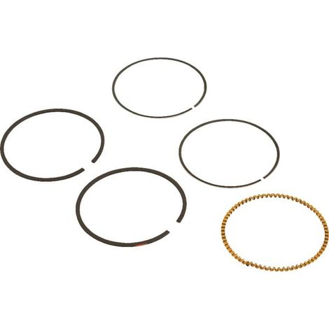 Kit de segments BRIGGS ET STRATTON 590523