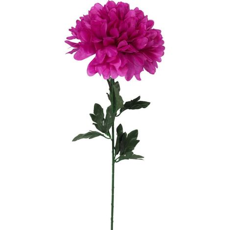 Chrysantheme, einzelne Blüte, FI 20 cm, rosa (1/2)