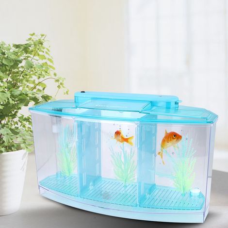 Boîte d'isolement à trois compartiments en acrylique avec éclairage LED pour aquarium, idéale pour la reproduction de petits poissons (bleu) (1/5)