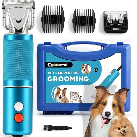 Tondeuse Chien 300W, Bruit Bas, Cable 3m, Chiens Chats (1/5)