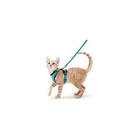Harnais avec laisse pour chats, Harnais et laisse pour chats, Harnais réglable pour chatons, Collier harnais pour chats, Gilet respirant, Pour chat européen, chat persan (vert, S)