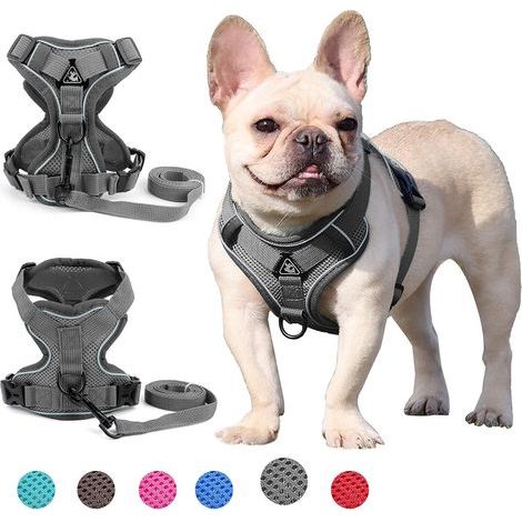 Geschirr für kleine und mittelgroße Hunde (Grau XL) - Fei Yu (1/3)