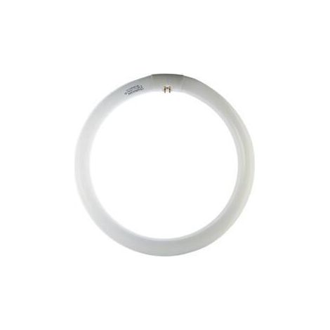 12 x CIRCOLINA 40W G10Q 2800LM 6500K