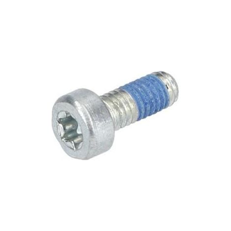 Vis bombee torx cbx pour Marteau perforateur BOSCH OUTILLAGES - 1600A0015H