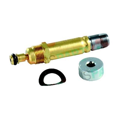 BFP NC Noyau electrovane, ressort plat et ecrou 071N0050 (1/5)