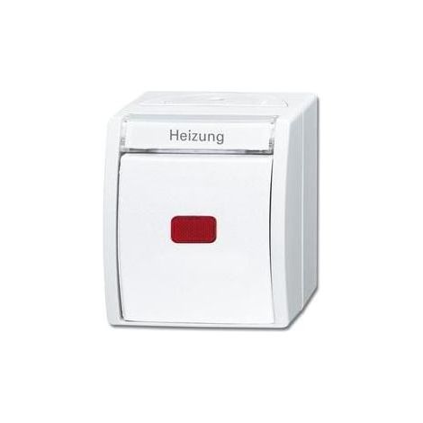 Busch-Jaeger 2601/2 SKWNH-54 Wippkontrollschalter/Heizungsschalter Ausschaltung, 2-polig (1/5)