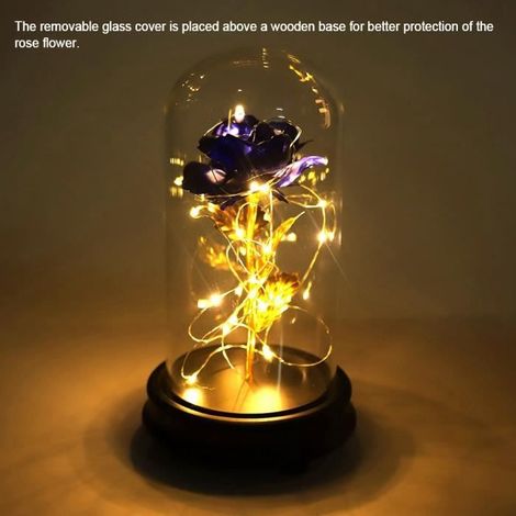 Luminaire LED fleur - Rose Eternelle - Bleu - Plaquée or 24K - Cadeau de Luxe - Décoration (1/4)