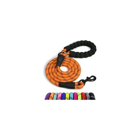 Laisse pour chien en nylon 150cm – Poignée rembourrée douce – Fils réfléchissants pour sécurité nocturne – Corde d'escalade durable (1/5)