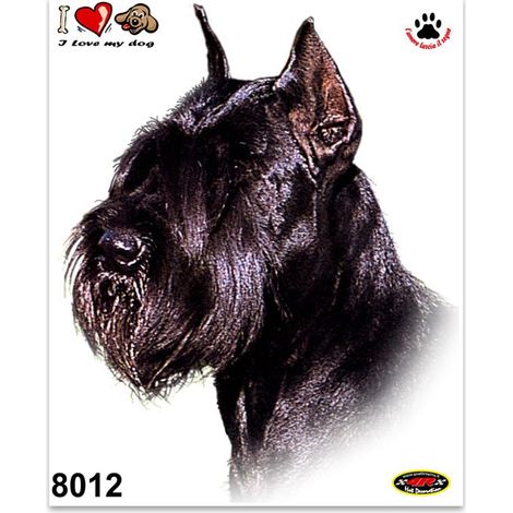 Adesivi Stickers Medi Cane Schnauzer 13,5 x 16 cm (1/4)