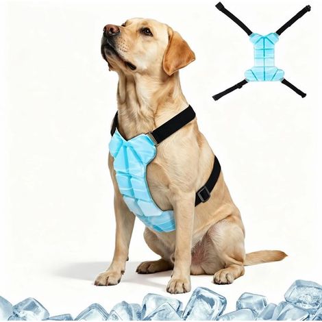Gilet rinfrescante più leggero del 30% rispetto ai gilet rinfrescanti a base d'acqua, materiale leggero (previene il raffreddamento eccessivo), fasce elastiche regolabili, gilet rinfrescante per cani (1/5)