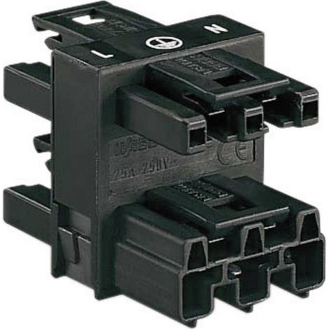 WAGO Connettore di distribuzione Spina di rete - Presa di rete, Presa di rete, Presa di rete Tot poli: 2 + PE Nero 1 pz
