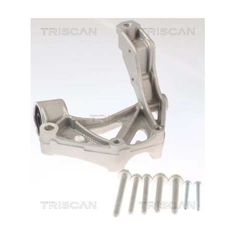 Support de palier, corps de l'essieu Triscan 8500 295262 SEAT 6Q0 199 293 D
