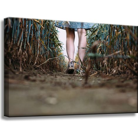 Leinwanddruck Natur Ein Spaziergang auf dem Feld 60x40 cm