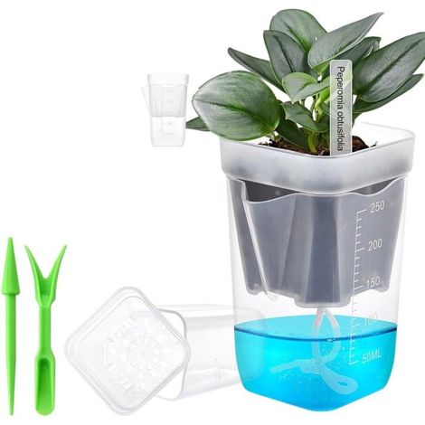KLVGTIFS PU - Grand format (1 pièce) + carte d'insertion + accessoires + plateau de semis + pot pour plantes grasses, plateau de plantation en pla (1/5)