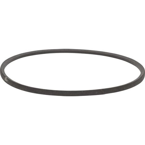 Correa trapezoidal SNAPPER 1666655SM
