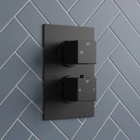 Signature React Thermostatic 1 Outlet Concealed Shower Valve Dual Handle - Matt Black (1/3)