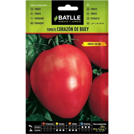 Graines De Boeuf Aux Tomates