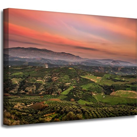 Leinwanddruck Naturpanorama des Hochlands 40x30 cm