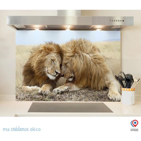 Fond de hotte : Lions-et-amour - Verre trempé - 90 cm - 60 cm (1/5)