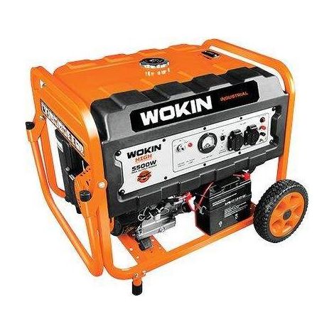GENERATORE CORRENTE 791255 WOKIN