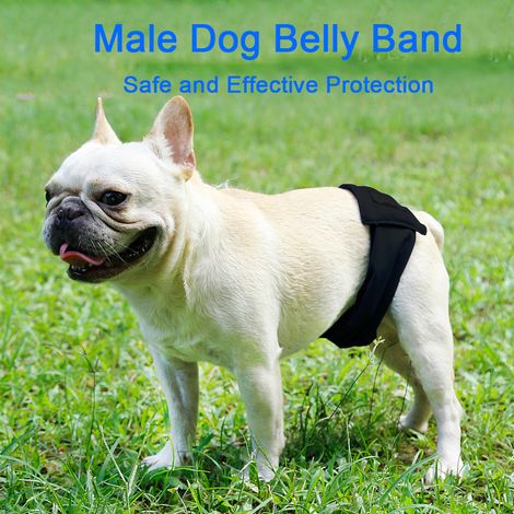 Bande ventrale pour chien mâle, couche pour animaux de compagnie, enveloppement lavable, imperméable, formation aux toilettes, pantalon physiologique (1/5)