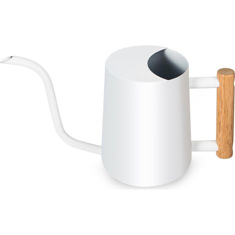 Arrosoir pour plantes d'intérieur - 1 l - Petit arrosoir d'intérieur en métal et acier inoxydable - Arrosoir décoratif avec long bec pour la maison (1/5)