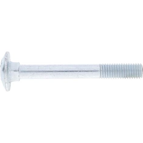 Vite a testa tonda con quadro sottotesta zincata M12x100 8.8 UNIVERSALE 6031210088 (1/3)