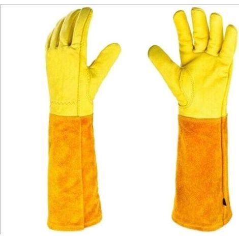 Hochwertige Gartenhandschuhe aus Leder – Schnitt- und dornenfest – Optimaler Schutz beim Schneiden und Jäten – Maße: 42 x 12 cm (1/5)