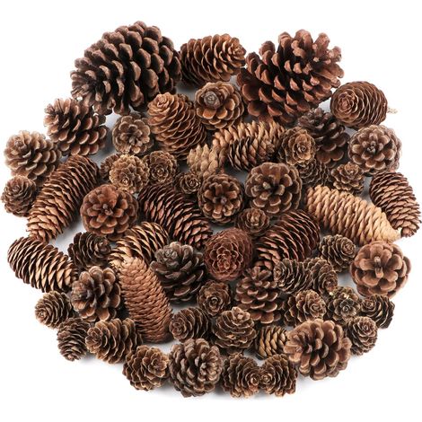 Lot de 60 pommes de pin – Emballage en vrac naturel, grandes, moyennes et mini – Décorations rustiques en forme de pommes de pin pour table, sapin de Noël, travaux manuels, cadeaux (1/5)