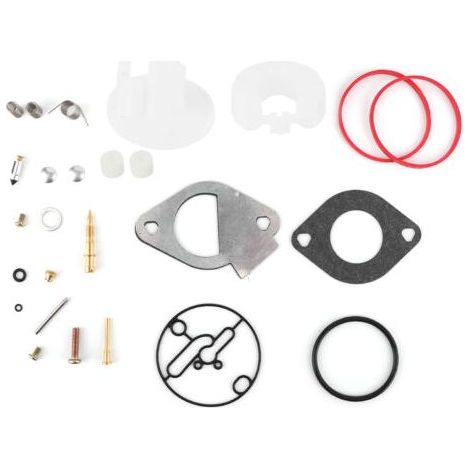 Kit de réparation carburateur pour moteurs Briggs & Stratton 796184 796081 790727 – Installation simple – Inclus joints et pièces nécessaires (1/5)