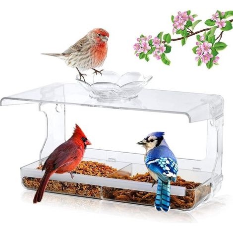 Fenster-Vogelfutterhaus zur Gartendekoration, selbstklebende Haken, ideal für Vogelbeobachtung und den Außenbereich (1/5)