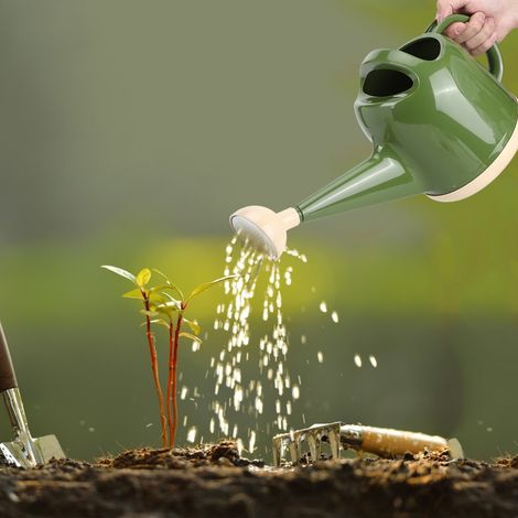Arrosoir en plastique pour plantes à fleurs et bonsaïs, pot d'arrosage avec buse (1/5)