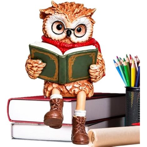 Figurine Chouette Lisant sur Étagère Statuette Animalière Style Campagne (1/5)