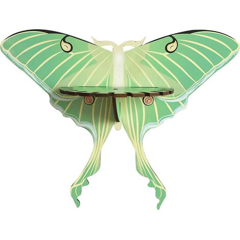 [Estante de pared] Estante de madera verde mariposa (27 x 30 cm) – Decoración minimalista (1/4)