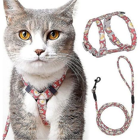 Adjustable Cat Harness Leash Harness (145cm Pink M) for Cats Small Dogs Nylon with Safety Durable Leash Harness for Puppy Kitten Small Animals MUMU (1/4)