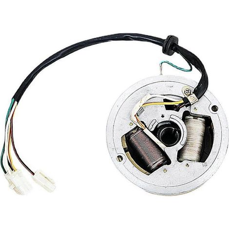 Bobine d'allumage, accessoire de plaque de stator de magnéto pour Yamaha Professional (1/3)