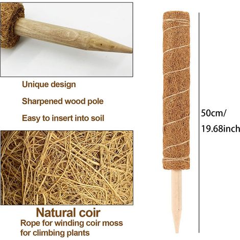 Pflanzenstütze aus Kokosfaser, stabiler, spitzer Fuß, 50 cm, 2er-Pack (1/5)