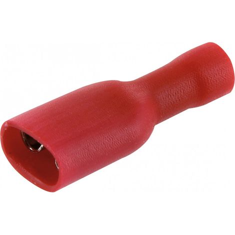 Clip femmina completamente isolato rosso 6,35 10