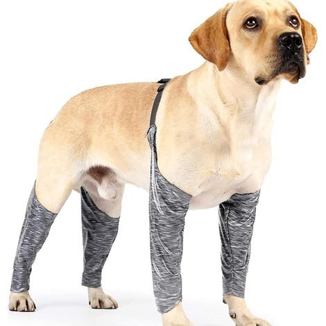 Manchons anti-léchage pour pattes de chien, manches de protection imperméables et anti-salissures pour Coudières souples anti-salissures, pantalon réglable pour éviter le léchage, pattes avant et arr (1/5)