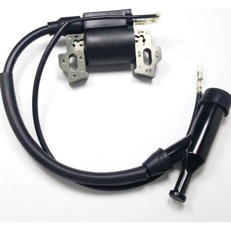 Alovez - Bobine d'allumage pour tondeuse Einhell BG-PM 46/3 S/BG-PM 40 (1/3)