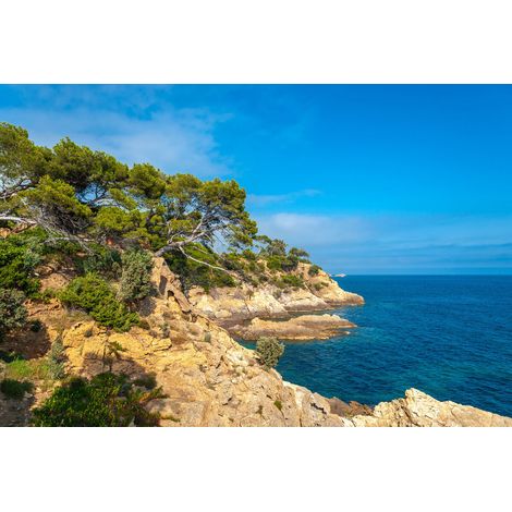 Tableau sur toile le Lavandou de jour 30x45 cm - Impression sur Toile Murale Décorative - Image imprimée en HD sur Toile - Toile sur Châssis en Bois FSC - Fabriqué en France (1/4)