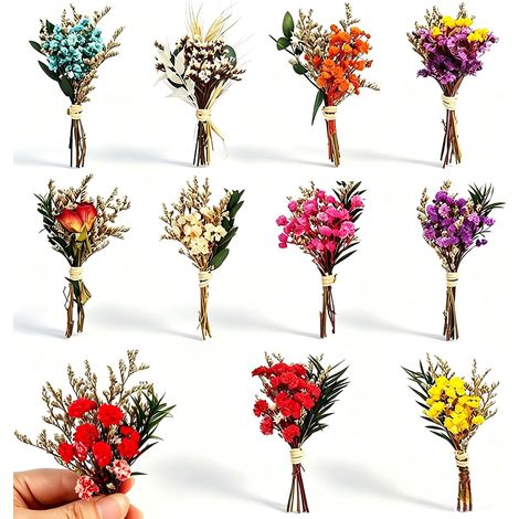 10 Pièces Bouquets de Fleurs Séchées Naturelles Mini Bouquet de Fleurs Séchées Petites Fleurs Séchées pour DIY Artisanat Scrapbook Journal Bullet Journal Album Photo Décoration et Boîtes (1/5)